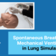 spontaneous breathing vs mechanical ventilation