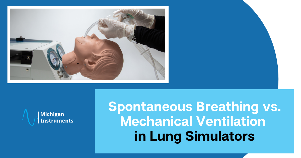 spontaneous breathing vs mechanical ventilation