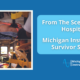 survivor stories