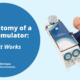 The Anatomy of a Lung Simulator How It Works