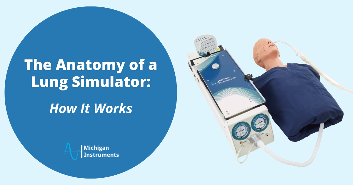 The Anatomy of a Lung Simulator How It Works