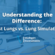 test lung vs. lung simulator
